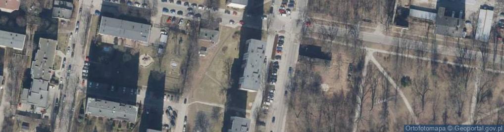 Zdjęcie satelitarne Jesion Beata Lewandowska