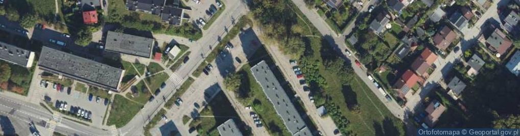 Zdjęcie satelitarne Język Angielski Nauczanie i Tłumaczenie