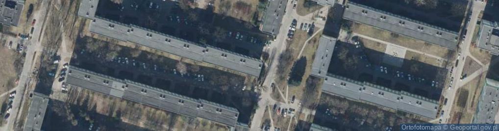 Zdjęcie satelitarne Joanna Jeleńska