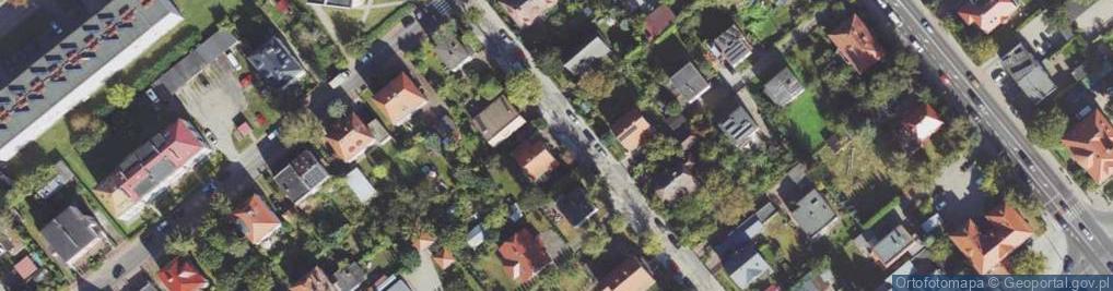 Zdjęcie satelitarne Joanna Krupitowicz Mystique