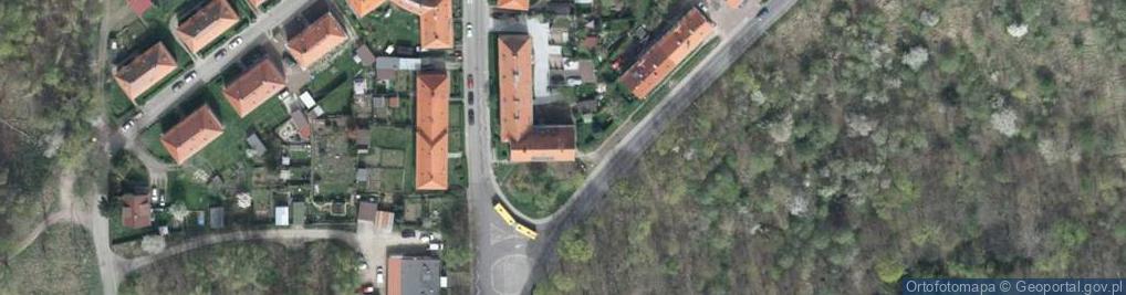 Zdjęcie satelitarne Joanna Osowska