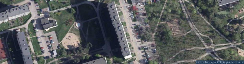 Zdjęcie satelitarne Joanna Róg - Działalność Gospodarcza