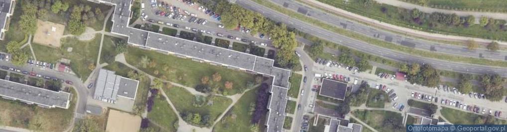 Zdjęcie satelitarne Joanna Smętek
