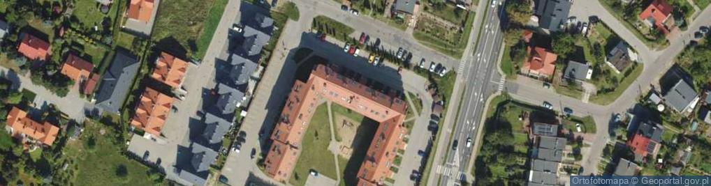 Zdjęcie satelitarne Jolanta Lewowska