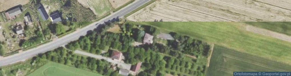 Zdjęcie satelitarne Jolanta Pietrzkiewicz - Działalność Gospodarcza