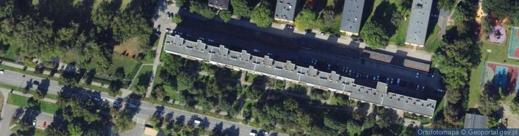 Zdjęcie satelitarne Joy International