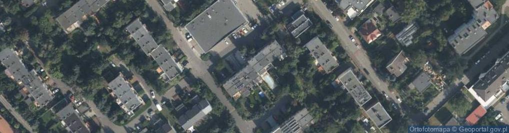 Zdjęcie satelitarne Justyna Niemann-Stęplewska Bio