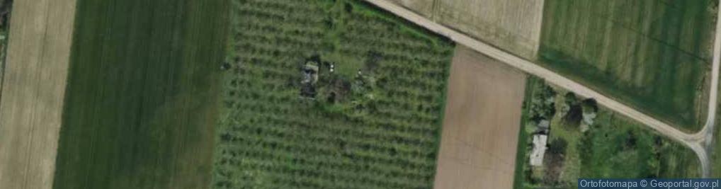 Zdjęcie satelitarne Kamel Katarzyna Lubiatowska