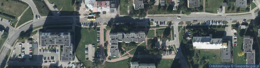 Zdjęcie satelitarne Kamex Aneta Pacierz