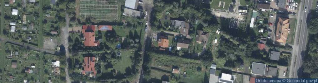 Zdjęcie satelitarne Kamil Kwiatek Kamil Kwiatek Flower Power