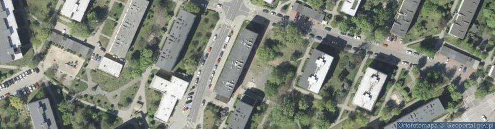 Zdjęcie satelitarne Kangur