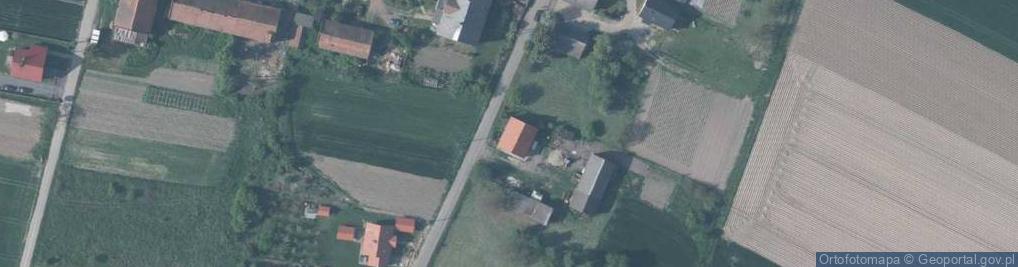 Zdjęcie satelitarne Kapi Kazimierz i Katarzyna Wawrzoszek