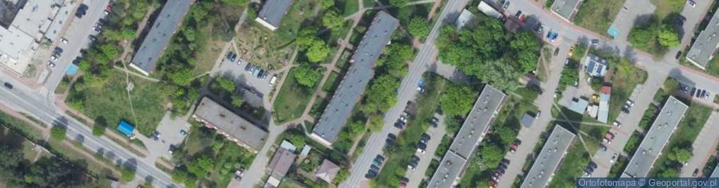 Zdjęcie satelitarne Karol Chołuj - Działalność Gospodarcza