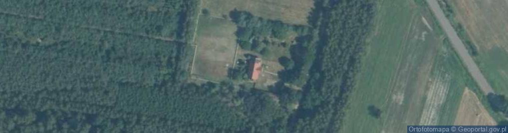 Zdjęcie satelitarne Karolina Wołowicz