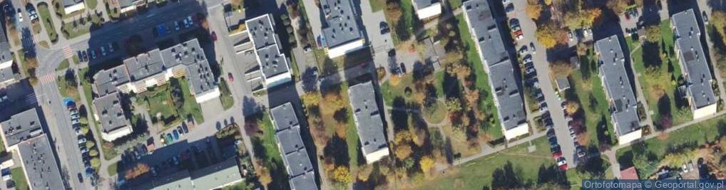 Zdjęcie satelitarne Kartel