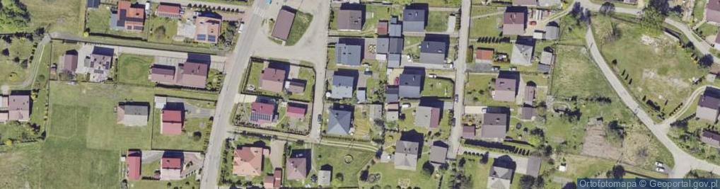 Zdjęcie satelitarne Kaszyca Zygmunt