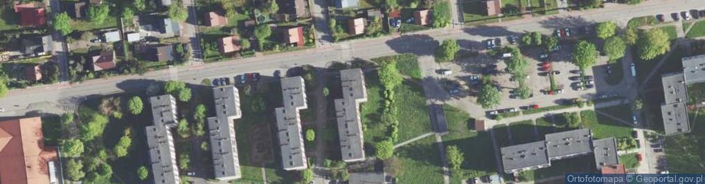 Zdjęcie satelitarne Katarzyna Adamska - Działalność Gospodarcza