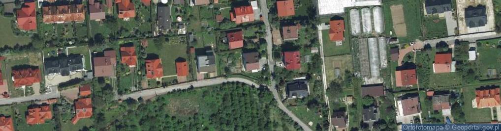 Zdjęcie satelitarne Katarzyna Martyna-Jakubowska Kwiaty i Badyle