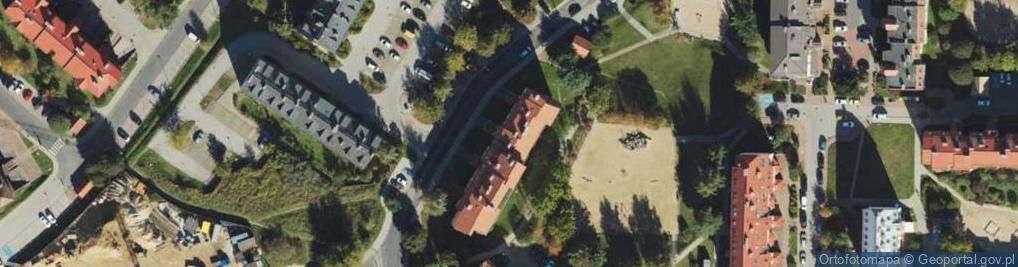 Zdjęcie satelitarne Katarzyna Rzeszotarska