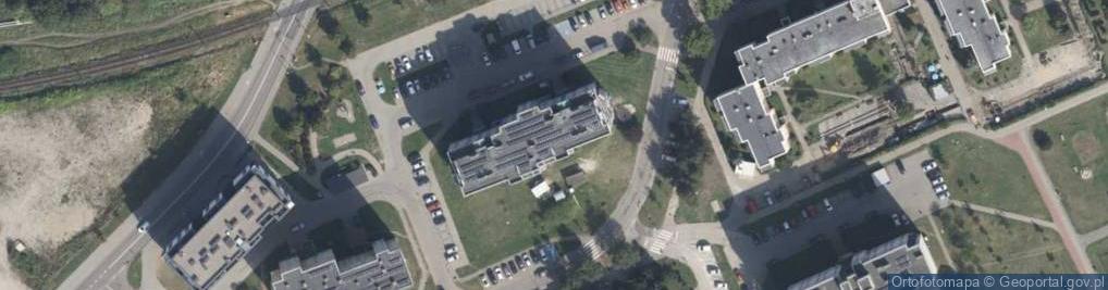 Zdjęcie satelitarne Kierowca