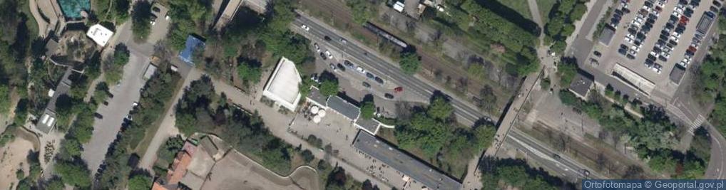 Zdjęcie satelitarne Koala