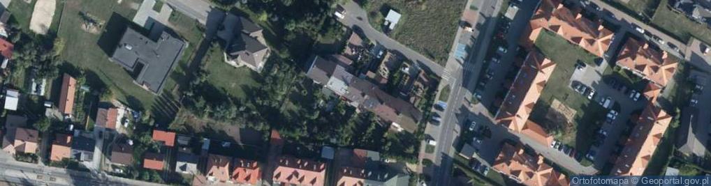 Zdjęcie satelitarne Koczkodon Sławomir