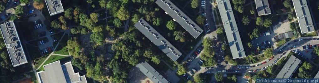 Zdjęcie satelitarne Koncesjonowany Przewóz Towarów