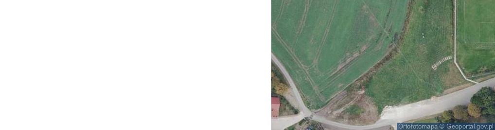 Zdjęcie satelitarne Koncesjonowany Przewóz Towarów