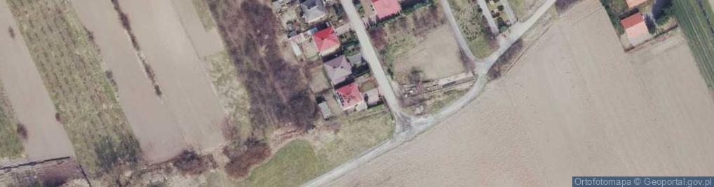 Zdjęcie satelitarne Koncesjonowany Przewóz Towarów