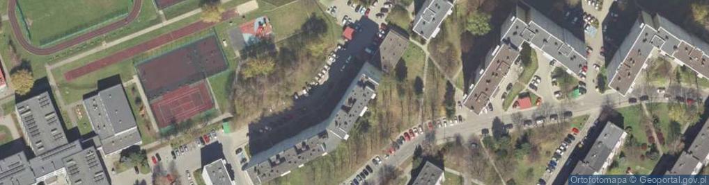 Zdjęcie satelitarne Konserwacja Zabytków