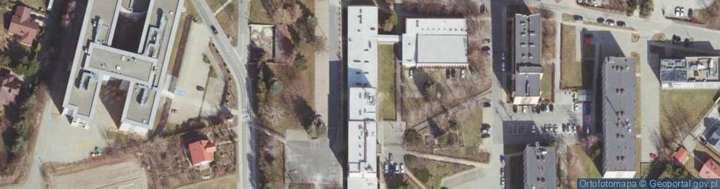 Zdjęcie satelitarne Kopia