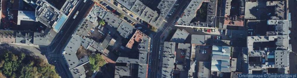 Zdjęcie satelitarne Kot Adrian Creative