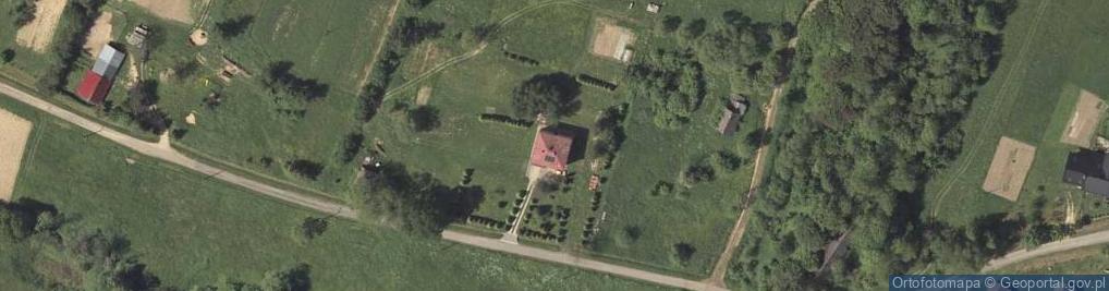Zdjęcie satelitarne KRAINA DRWALA