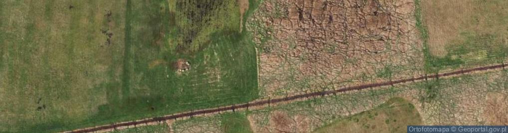 Zdjęcie satelitarne Królewska Jolanta Andrysiak