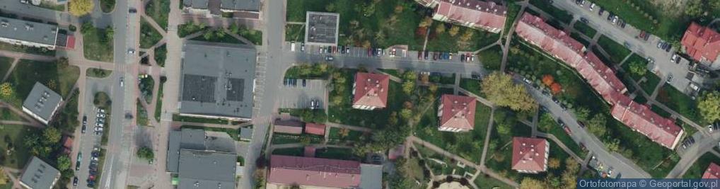 Zdjęcie satelitarne Krystyna Szymura Woś