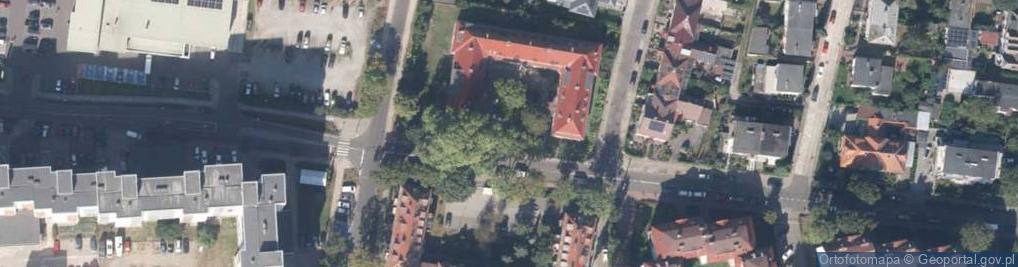 Zdjęcie satelitarne Krzak