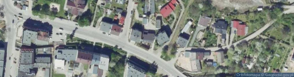 Zdjęcie satelitarne Krzewy i Drzewa Owocowe