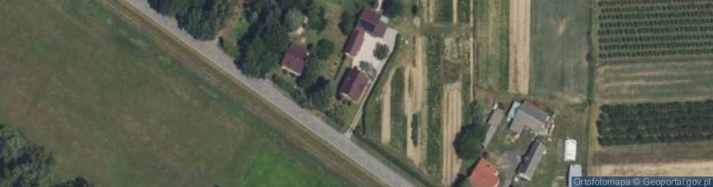 Zdjęcie satelitarne Krzewy ozdobne. Tuje szmaragd.