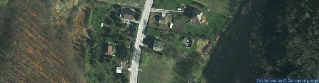 Zdjęcie satelitarne Krzywo