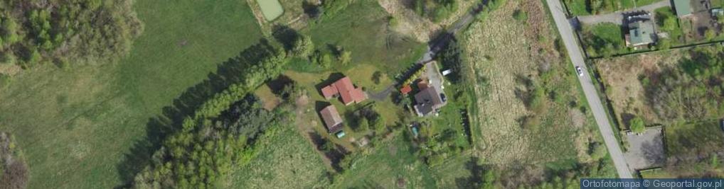 Zdjęcie satelitarne Kulturalni Sylwia Misiak