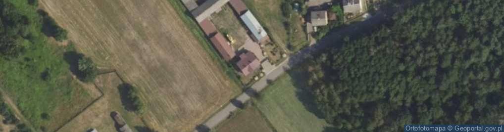 Zdjęcie satelitarne Kurek Agnieszka