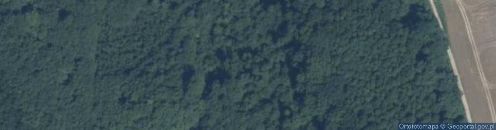 Zdjęcie satelitarne LabiM Firma Laboratoryjno - Consultingowa Leszek Michalak