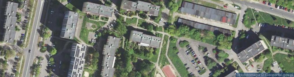 Zdjęcie satelitarne Lancelot Miłosława Miłkowska Brzostek Izabela Brzostek Dariusz Brzostek