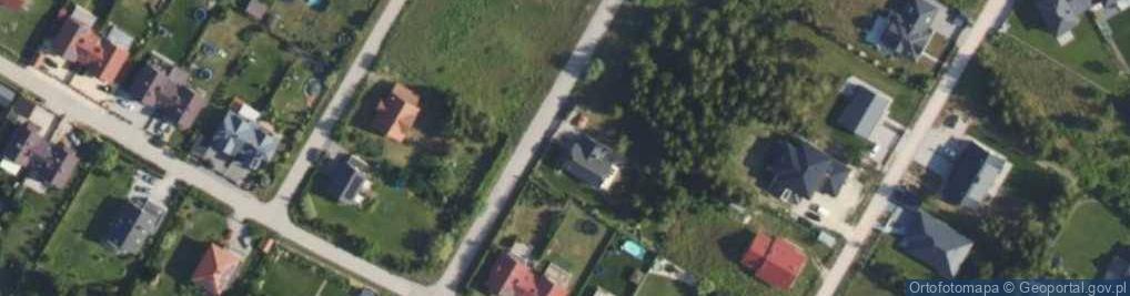 Zdjęcie satelitarne Last Survivor