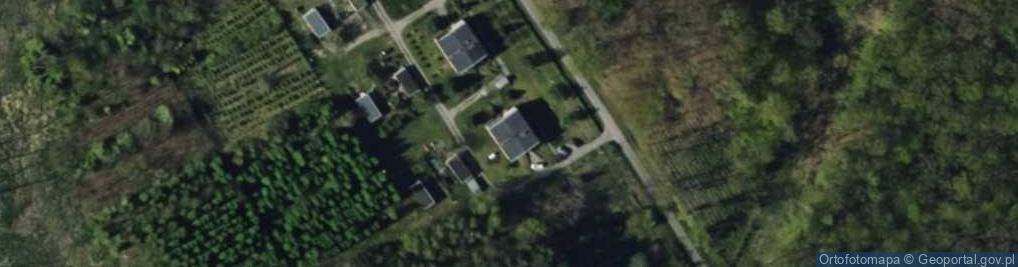 Zdjęcie satelitarne Lasy Państwowe Nadleśnictwo Skierniewice