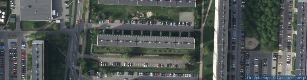 Zdjęcie satelitarne Lemir