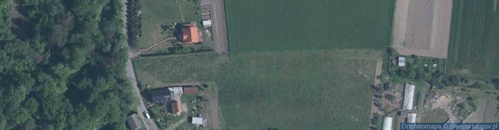 Zdjęcie satelitarne Leśniak A., Skałka
