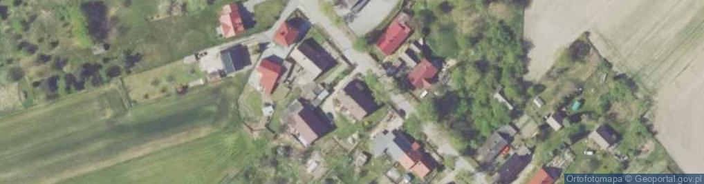 Zdjęcie satelitarne Leśny Kamrat Agnieszka Więcek