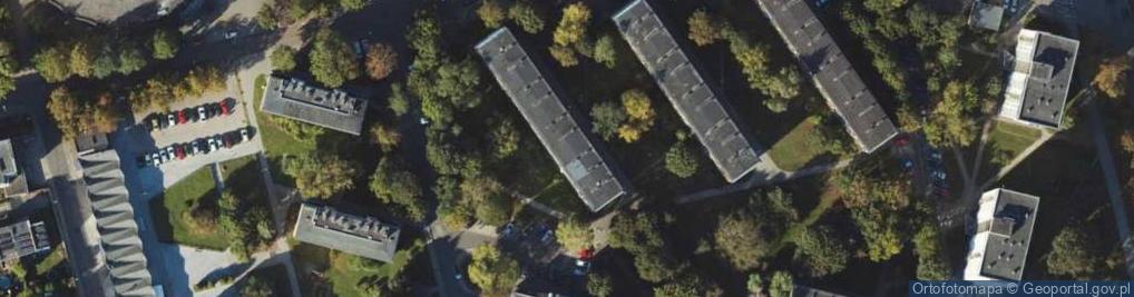 Zdjęcie satelitarne Leszek Janusz