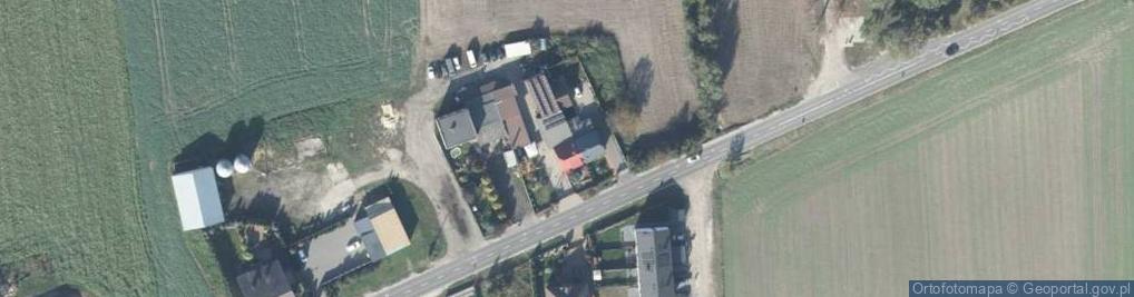 Zdjęcie satelitarne Lew Gum Krzysztof Lewandowski